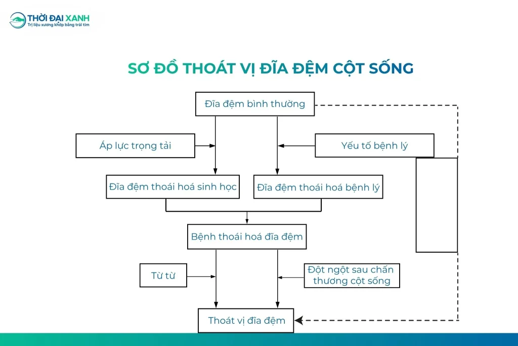 Sơ đồ thoát vị đĩa đệm cột sống theo sách “Các bệnh lý thường gặp trong lâm sàng Phục hồi chức năng” của GS.TS.BS Phạm Văn Minh.